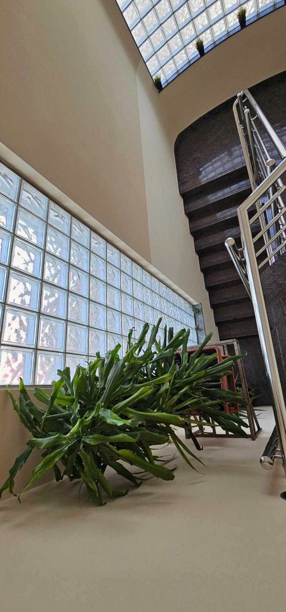זאדאר Sobe/Rooms Riva מראה חיצוני תמונה